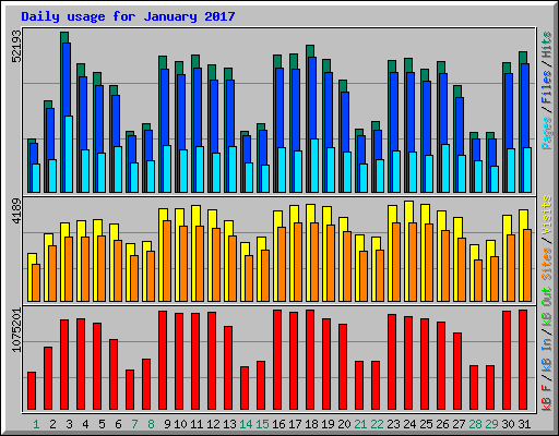 Daily usage for January 2017