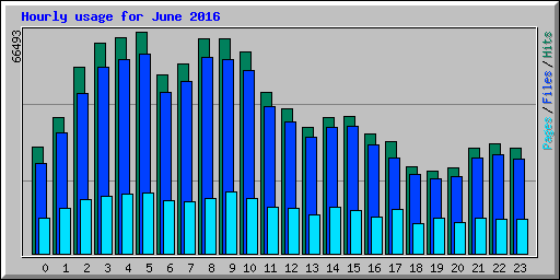 Hourly usage for June 2016
